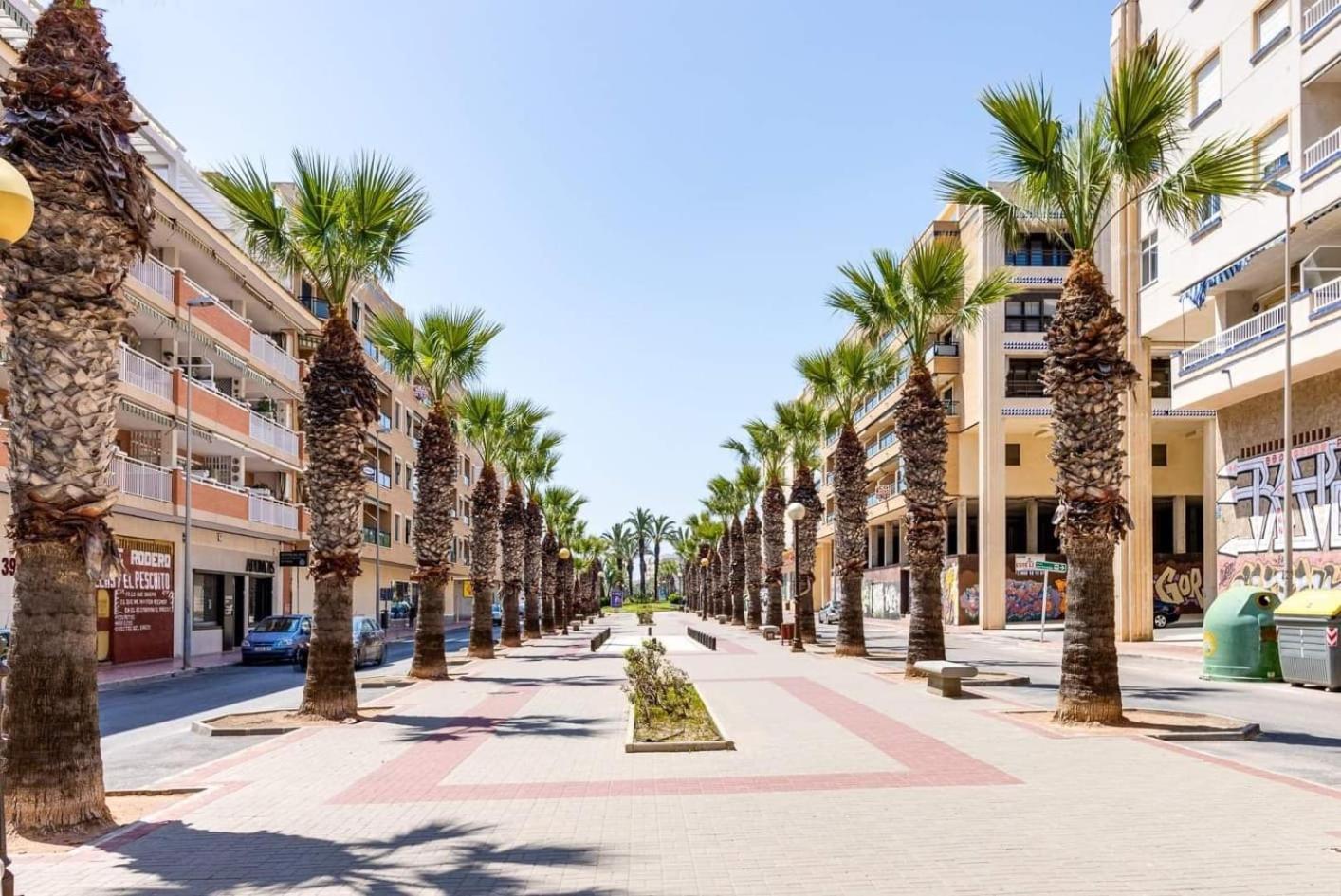 Excelente Apartamento Vacacional En Guardamar A Unos Pasos De La Playa, Calle Paraguay Guardamar del Segura Ngoại thất bức ảnh